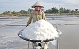 Nâng tầm giá trị hạt muối Việt