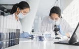 Sử dụng chuyên gia cao cấp là người nước ngoài phải tuân thủ quy định pháp luật