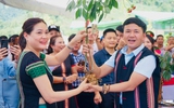 "Mệnh lệnh trái tim" xóa nhà tạm, nhà dột nát (kỳ 2): Nhân rộng cách làm hay