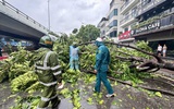 Bộ Xây dựng yêu cầu đảm bảo an toàn công trình và giao thông trước bão số 1