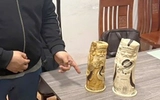 Hà Nội: Bắt giữ tài xế giấu tượng ngà voi trên ô tô