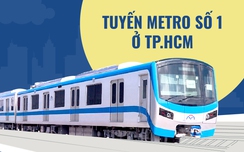 Toàn cảnh tuyến w88 -- link mới nhất số 1 ở TP.HCM