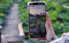 link vao w88 hồ Tây nở sớm nhưng ế ẩm, các chủ vườn livestream mời khách