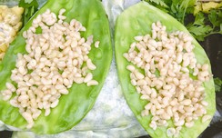 Đặc sản ấu trùng dưới lòng đất ở Mexico
