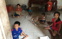 Cuộc sống cơ cực của người phụ nữ sinh 14 link w88