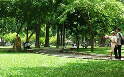 TP.HCM cho phép đấu thầu quản lý cây xanh, công w88 vin app