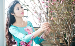 w88 mobile mang bánh chưng, hoa đào vào Nam