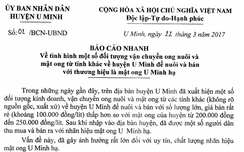 Kịp thời xử lý nghiêm vi phạm w88 hiệu mật ong rừng U Minh