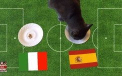 Tây Ban Nha - Italia: Mèo Cass w88 thế nào?