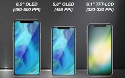 Hé lộ 3 mẫu iPhone màn hình "khổng lồ" Apple sắp "chào hàng"