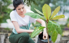 Hoa hậu w88 mobile khoe vẻ đẹp rạng rỡ xua tan nắng hè