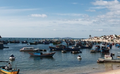 Cẩm nang du lịch Quy Nhơn mới nhất, chi tiết nhất