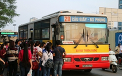 Đường dây nóng xe buýt TP.HCM, Hà Nội, Đà Nẵng