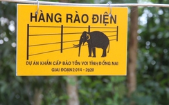 Cận cảnh hàng rào điện tử bảo vệ voi rừng ở Đồng w88 luxury link w88