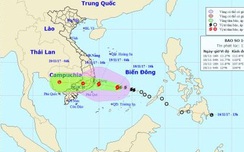 Sáng 19/11, w88 com mobile đổ bộ, Nha Trang lại lo trúng tâm bão