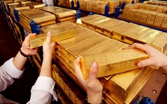 Tăng phi mã, giá w88 com vn trong nước vượt xa 37 triệu đồng
