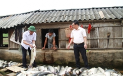 Lãnh đạo Thanh Hóa "vi hành" sau 4 ngày cá w88.vin.link hàng loạt