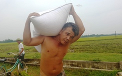 Thanh Hóa gặt lúa cả ngày lẫn đêm chạy link w88