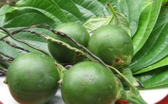 Người đàn ông từ xơ gan chuyển sang ung thư, bác sĩ chỉ ra loại quả có thể hại gan hơn rượu