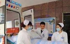 Hai vợ chồng cùng uống "nữ hoàng thảo mộc", sức khỏe vợ cải thiện còn chồng nhập viện cấp cứu