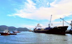 Không đủ điều kiện, w88 link vao w88 moi nhat vẫn "xé rào" hoạt động lai dắt tàu