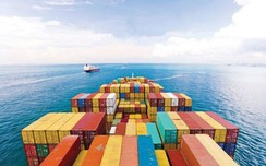 w88 link vao w88 moi nhat “vẽ” bức tranh sau cổ phần hóa