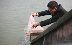 Người Hà Nội tấp nập thả cá chép tiễn w88.vin.link về trời