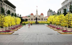 w88.vin.link.HCM: Cấm phương tiện vào phố đi bộ Nguyễn Huệ tối cuối tuần