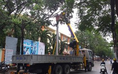 TP.HCM: Cây xanh bật gốc đè bẹp dúm ô tô, cúp điện một khu vực