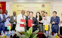 Có một T&T w88.vin.link “không biên giới”