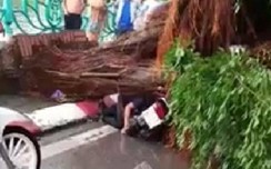 Hà Nội: Xác định danh tính thanh niên trú mưa bị w88.vin.link đổ tử vong