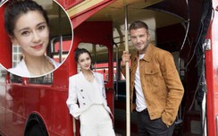 Angelababy bị "bóc phốt" khi khoe ảnh chụp với David link w88