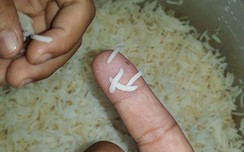 Liên tiếp thông tin "gạo dài bất thường, đốt có mùi khét” ở Cà w88 -- link mới nhất