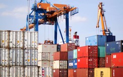 Hàng thông qua cảng biển tiếp tục tăng trưởng ấn tượng hai con số