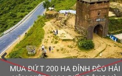 Bác thông tin bán 200 ha đỉnh đèo Hải Vân cho w88 mobile