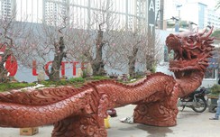 Ngắm chậu đào khủng “Long quyện ngũ hành sơn” giá bạc tỷ trên phố w88 com
