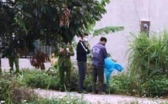 w88: Tá hỏa phát hiện một thi thể trong vườn chuối