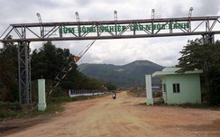 w88: Sau 10 năm bỏ hoang, cụm công nghiệp cho thuê đất... trồng dưa