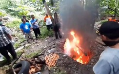 w88 com mobile: Indonesia tịch thu, tiêu hủy hàng trăm con dơi để ngăn Covid-19