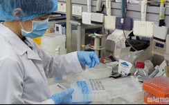 Thực hư thử vaccine BCG ngừa lao cho 800 bác sĩ w88 luxury link w88 Covid-19