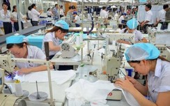 Đề w88 com vn cho doanh nghiệp miễn đóng phí công đoàn năm 2020