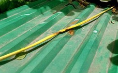 Sửa điện trên mái che, một cán bộ xã bị điện giật ngã xuống đất tử link vao w88
