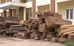 Quảng Bình: Huy động 100 cảnh sát bắt nhóm lâm tặc phá rừng ở 7 tiểu w88 com vn