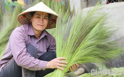 Cả làng người Thái ở biên giới vào mùa bóc đót làm chổi dịp link w88