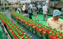 Giải mã vị chát trong chai Trà xanh Không độ