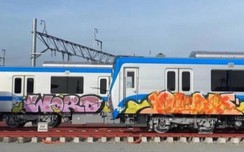 Người vẽ bậy lên toa tàu w88 luxury link w88 có thể bị truy tố hình sự