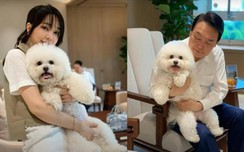 Đệ nhất phu w88 com vn Hàn Quốc kêu gọi dừng ăn thịt chó