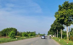 Cần Thơ, Hậu Giang xin làm chủ đầu tư dự án nâng cấp QL61C