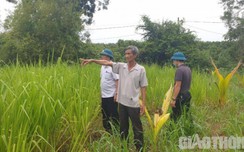 Các địa phương nào ở Hà Tĩnh đã trình thẩm định các khu tái định cư?