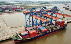 Các nhóm w88 luxury link w88 Việt Nam hiện đại cỡ nào?